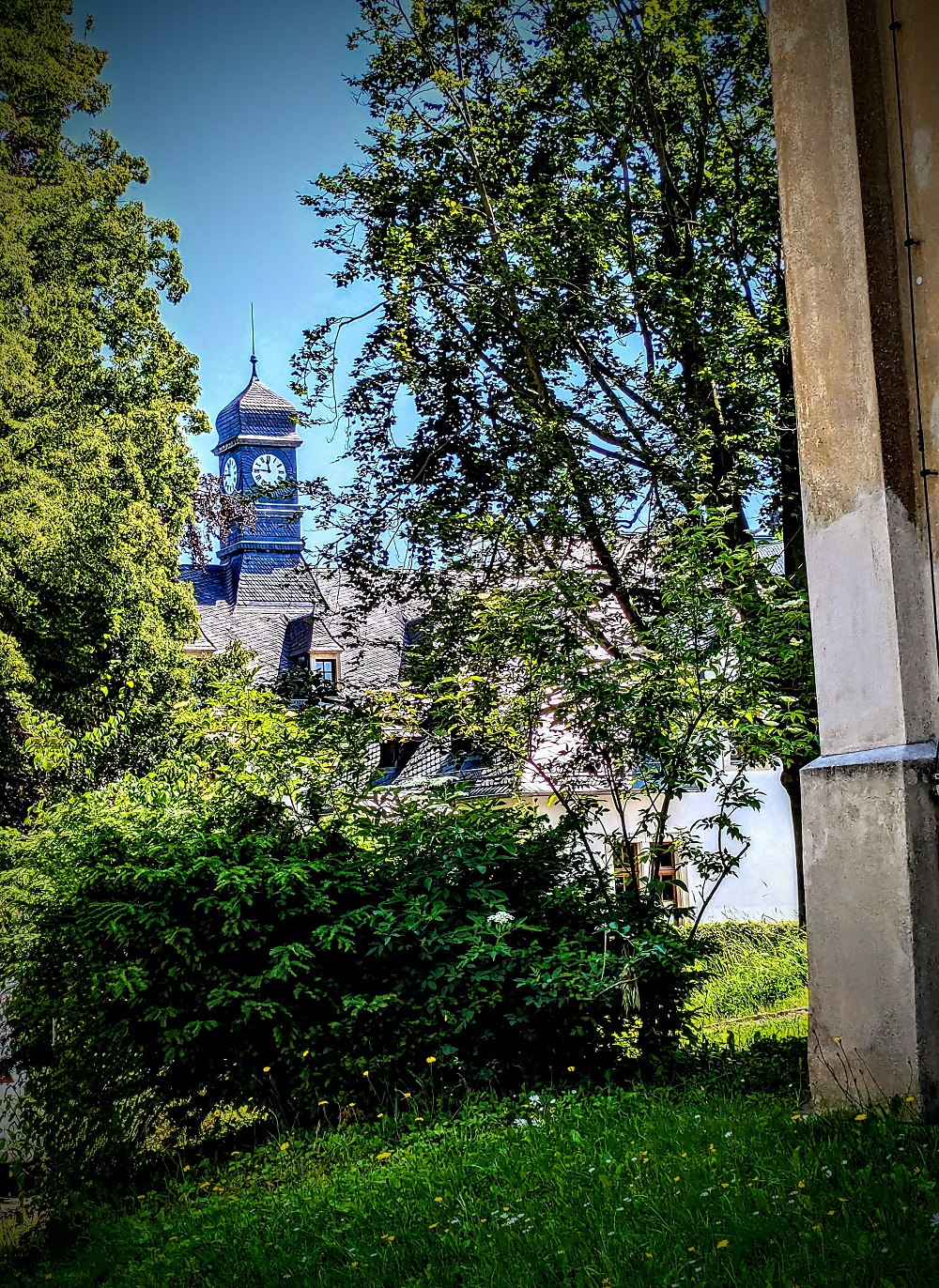 Erfrischende Sommergrüße