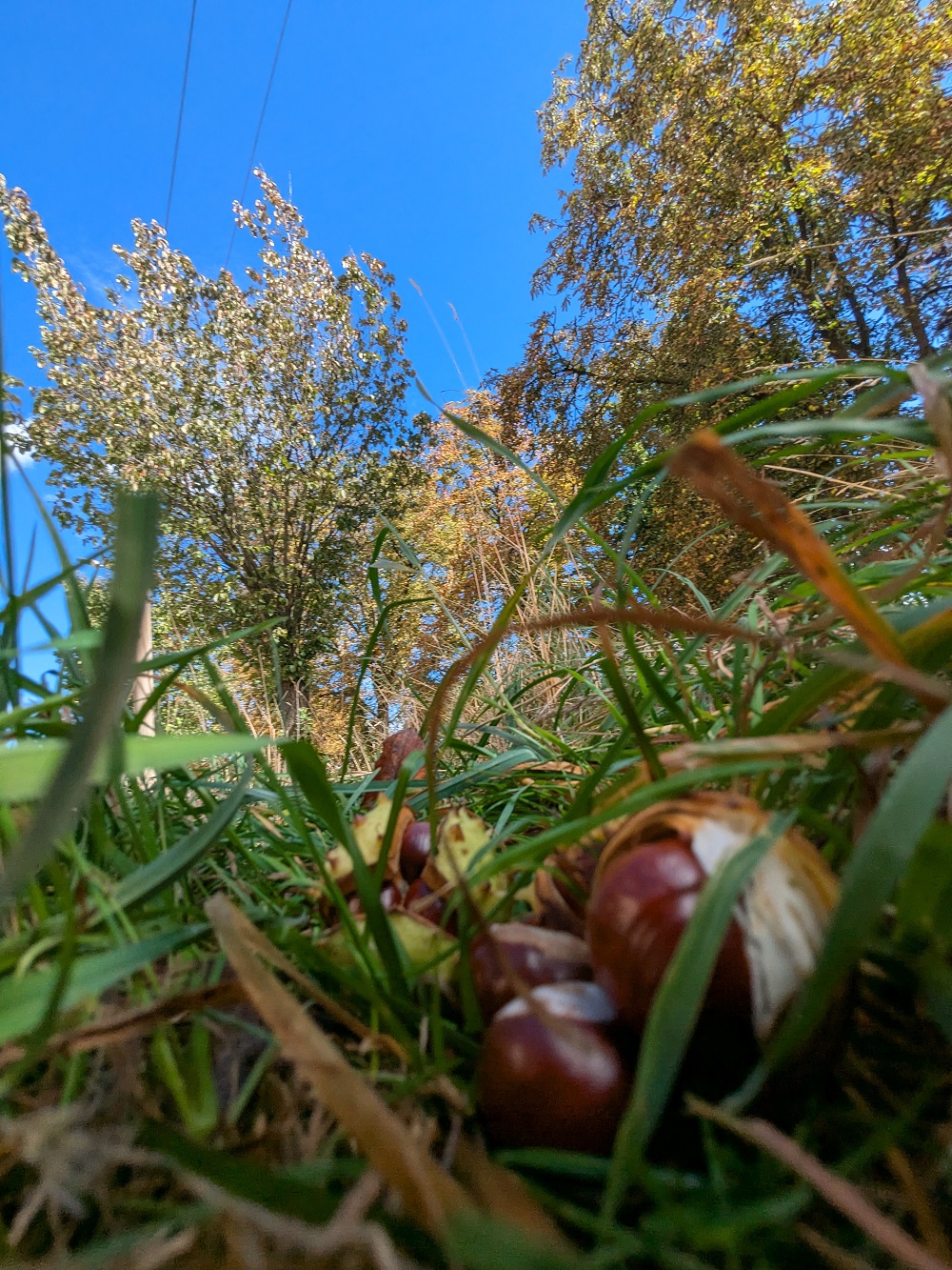 Kleine Pause vom großen Lernen